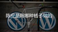  陈皮是用哪种桔子做的